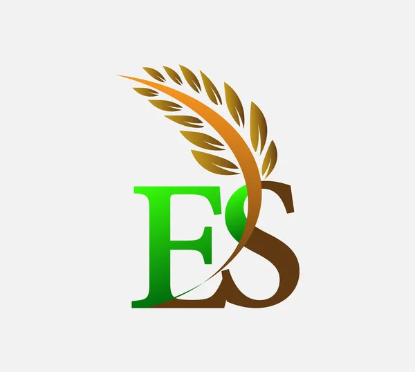 初期の文字のロゴEs 農業小麦のロゴテンプレートのアイコンのデザインの色緑と茶色 — ストックベクタ