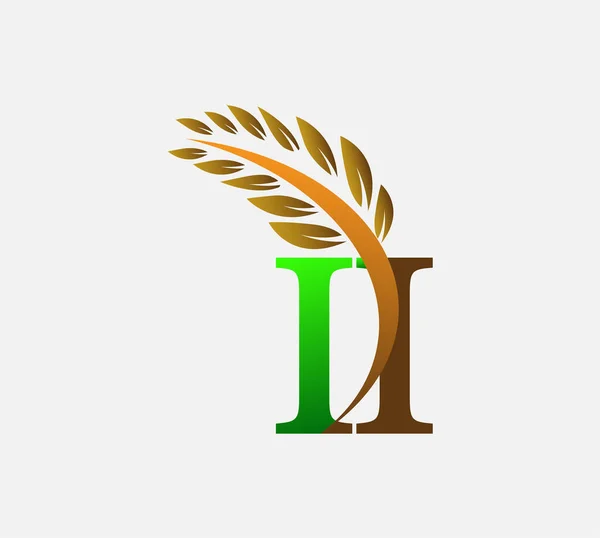 글자로고 Agriculture Wheat Logo Template Vector 아이콘 색상의 녹색과 — 스톡 벡터
