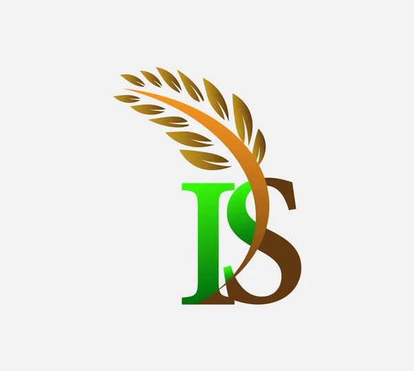 字母首字母标识Is 农业小麦标识模板矢量图标设计绿色和棕色 — 图库矢量图片