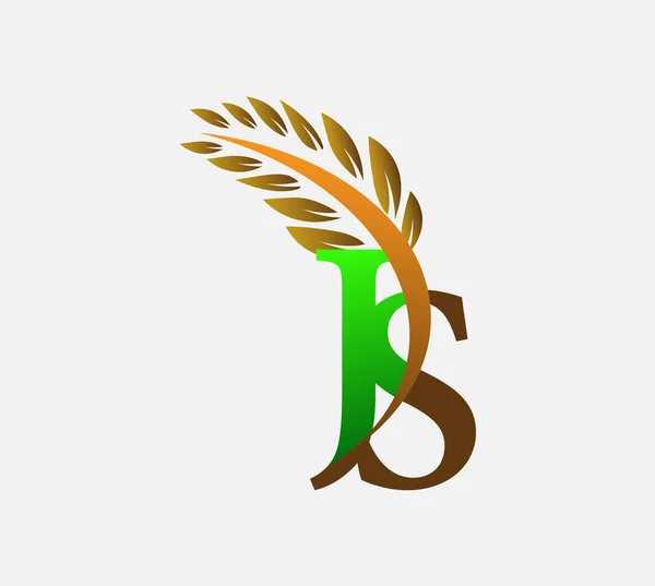 初始字母标识Js 农业小麦标识模板图标设计绿色和棕色 — 图库矢量图片
