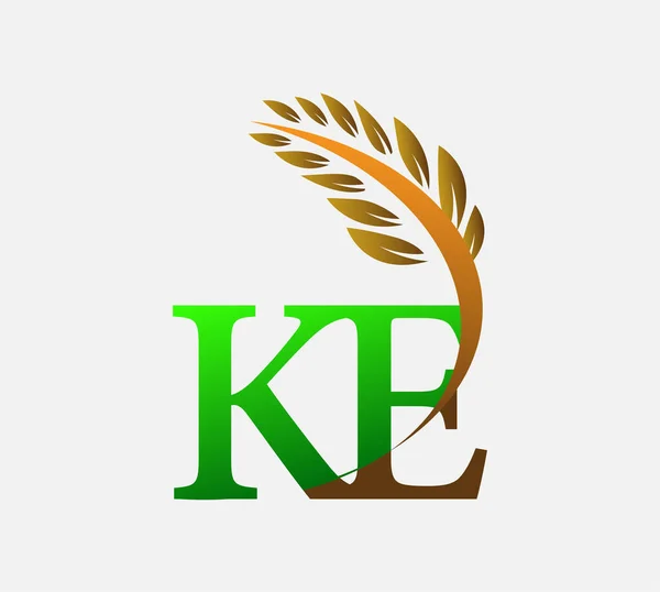 初期の文字のロゴKe 農業小麦のロゴテンプレートのアイコンのデザインの色緑と茶色 — ストックベクタ