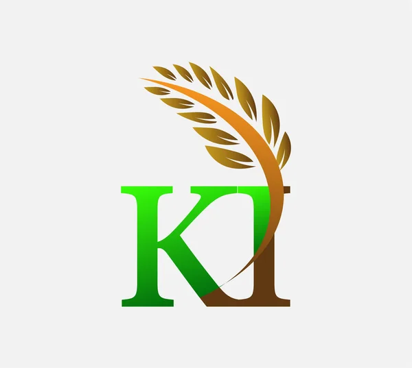 初期の文字のロゴKi 農業小麦のロゴテンプレートベクトルのアイコンのデザインの色緑と茶色 — ストックベクタ