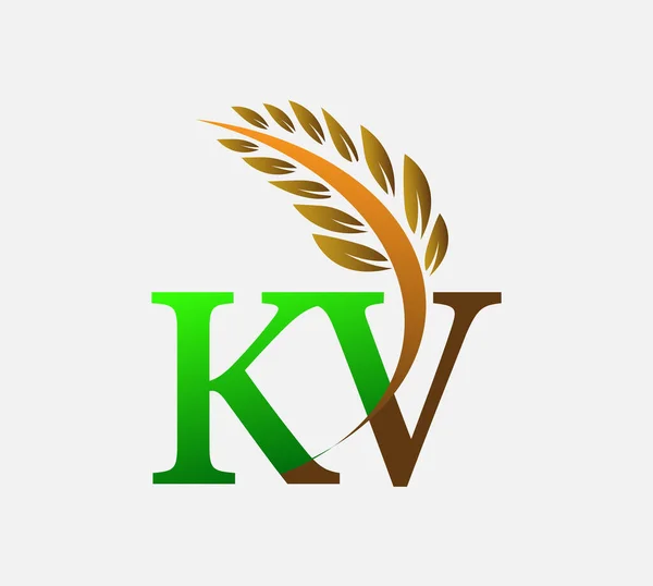 Počáteční Písmeno Logo Zemědělská Pšenice Logo Šablona Vektor Ikona Design — Stockový vektor