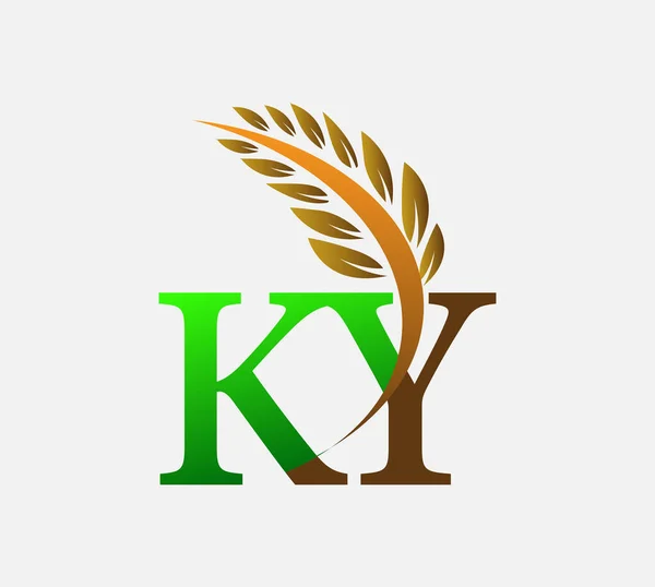 初期の文字のロゴKy 農業小麦のロゴテンプレートベクトルのアイコンのデザイン色緑と茶色 — ストックベクタ