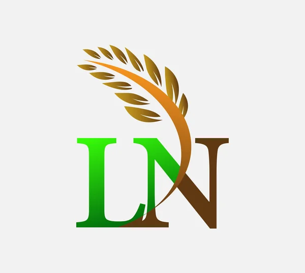 首字母标识Ln 农业小麦标识模板图标设计绿色和棕色 — 图库矢量图片