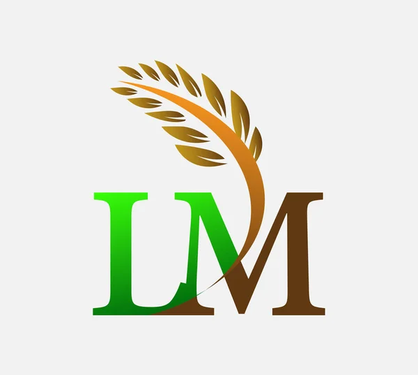 글자로고 Agriculture Wheat Logo Template Vector Icon Design Color Color — 스톡 벡터