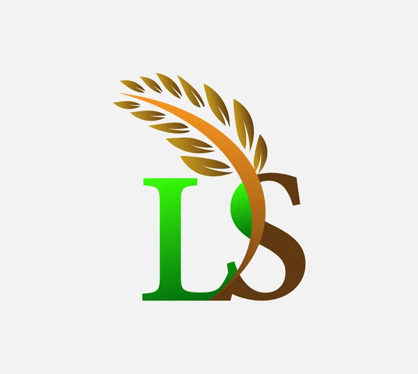 初始字母标识Ls 农业小麦标识模板矢量图标设计绿色和棕色 — 图库矢量图片