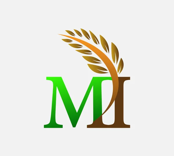 글자로고 Agriculture Wheat Logo Template Vector Icon Design Color Color — 스톡 벡터