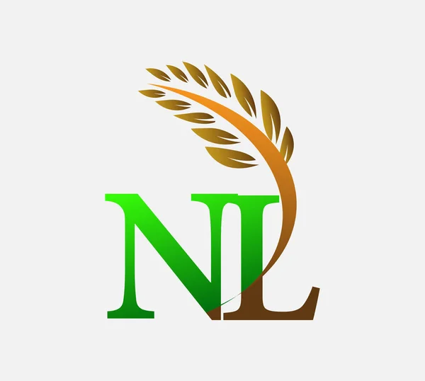 初始字母标识Nl 农业小麦标识模板图标设计绿色和棕色 — 图库矢量图片