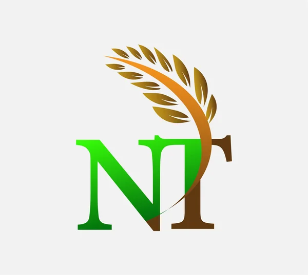 首字母标识Nt 农业小麦标识模板矢量图标设计绿色和棕色 — 图库矢量图片