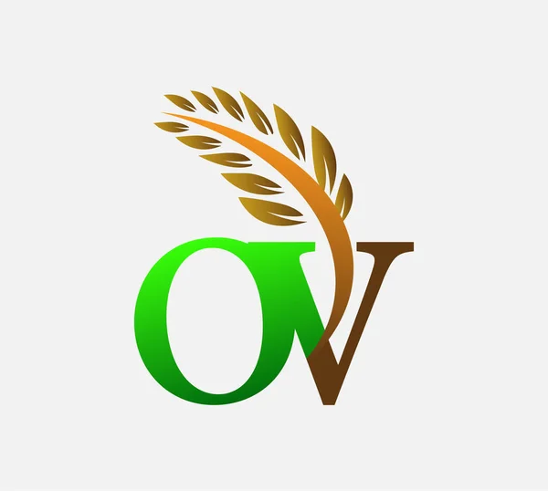Harf Logosu Tarım Logosu Şablon Vektör Ikonu Tasarımı Renkli Yeşil — Stok Vektör