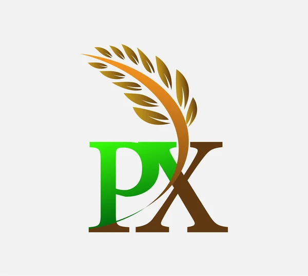 Počáteční Písmeno Logo Zemědělství Pšenice Logo Šablona Vektor Ikona Design — Stockový vektor