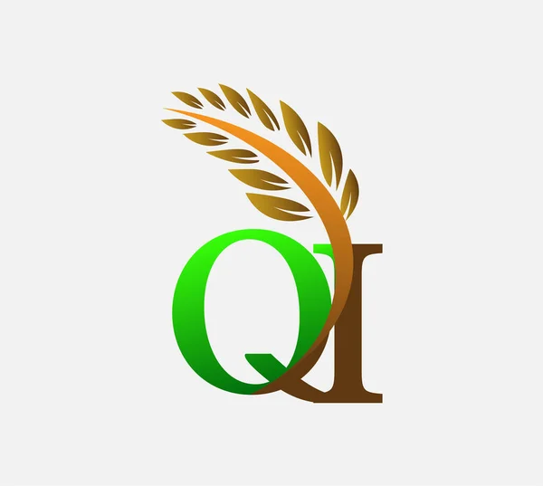 글자로고 Agriculture Wheat Logo Template Vector 아이콘 디자인 녹색과 — 스톡 벡터