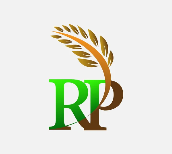 最初の文字のロゴRp 農業小麦のロゴテンプレートのアイコンのデザインの色緑と茶色 — ストックベクタ