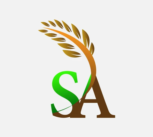 字母首字母标识Sa 农业小麦标识模板矢量图标设计绿色和棕色 — 图库矢量图片