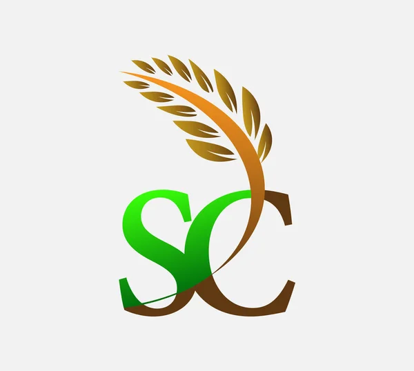 글자로고 Agriculture Wheat Logo Template Vector Icon Design Color Color — 스톡 벡터