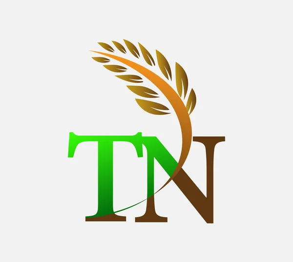 Начальная Буква Логотип Сельское Хозяйство Пшеницы Логотип Векторный Дизайн Иконки — стоковый вектор
