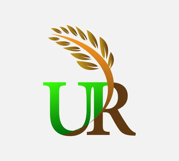 初期の文字のロゴUr 農業小麦のロゴテンプレートのアイコンのデザインの色緑と茶色 — ストックベクタ