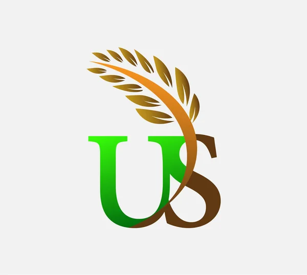 美国农业部小麦标识模板矢量图标设计为绿色和棕色 — 图库矢量图片