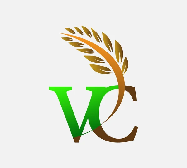 문자로고 Agriculture Wheat Logo Template Vector 아이콘 디자인 녹색과 — 스톡 벡터