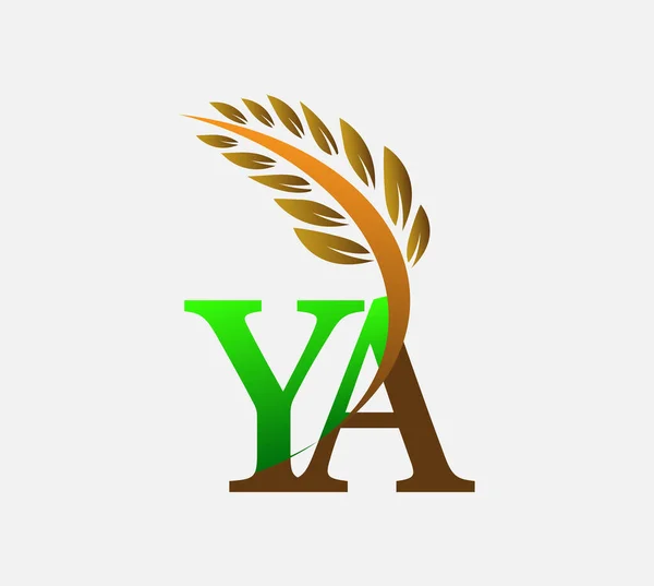 글자로고 Agriculture Wheat Logo Template Vector Icon Design Color Color — 스톡 벡터