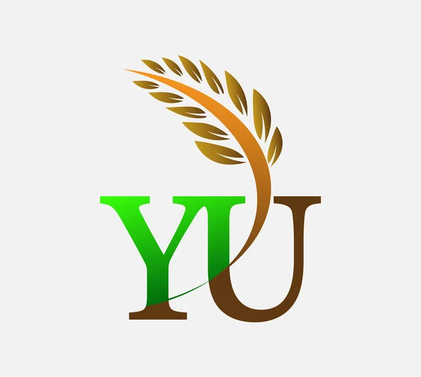 首字母标识Yu 农业小麦Logo模板矢量图标设计绿色和棕色 — 图库矢量图片
