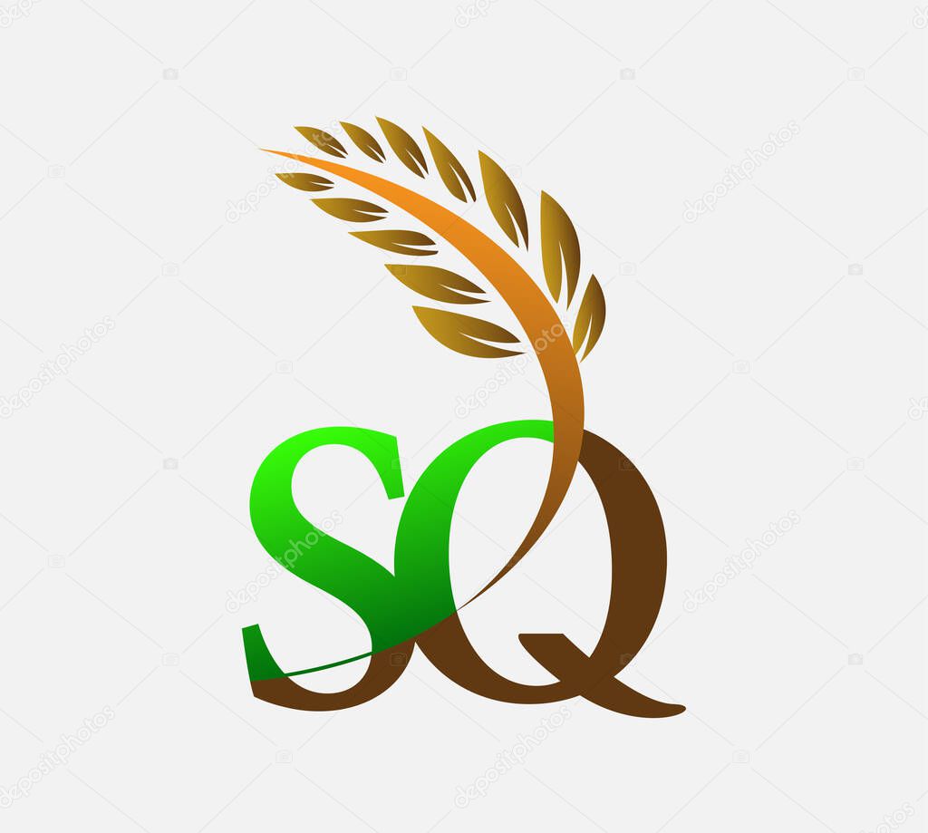 Initial letter logo SQ, Agriculture wheat Logo Template vector icon design colored green and brown.