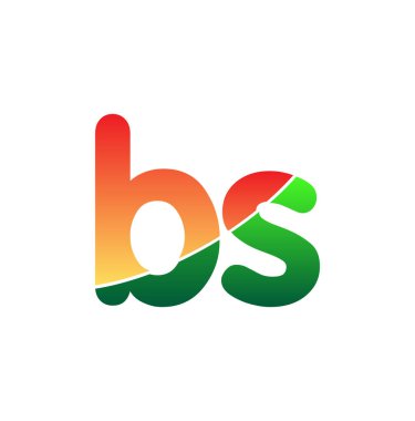 İlk Harf BS Logo Küçük Logo, Renkli Logotype Modern ve Basit Logo Tasarımı.