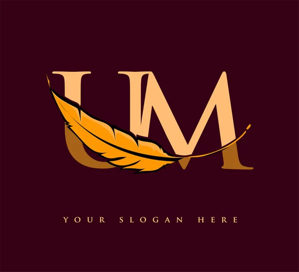 首字母Um标志与羽毛公司名称 简单而干净的设计 工商及公司的矢量标志 — 图库矢量图片