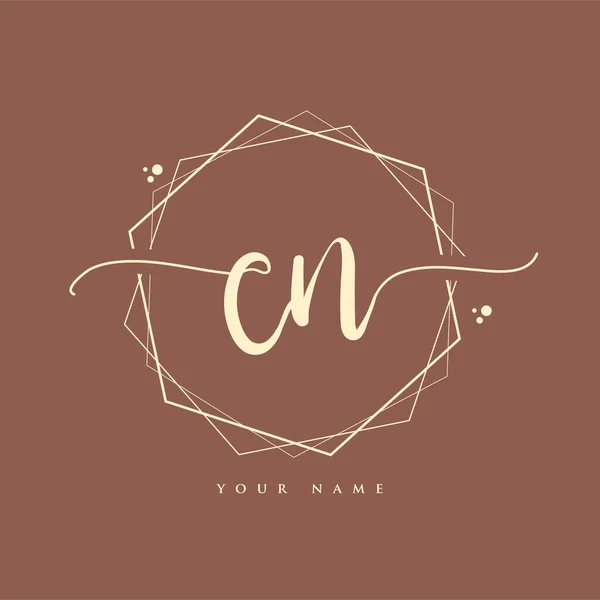 Initial Handwriting Logo Hand Lettering Initials Logo Branding Feminine Luxury — Stock Vector