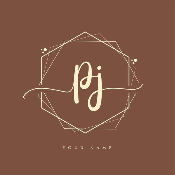 Initial Handwriting Logo Hand Lettering Initials Logo Branding Feminine Luxury — Stock Vector