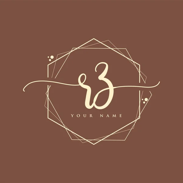 Initial Handwriting Logo Hand Lettering Initials Logo Branding Feminine Luxury — Stock Vector