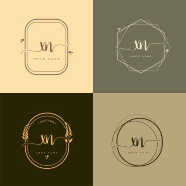 XN ilk el yazısı logo vektörü ayarları. El yazısı. Logo markası, kadın ve lüks logo tasarımı..