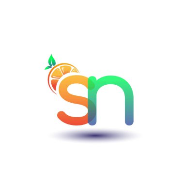 İlk harf SN logotype turuncu ve yeşil renk, taze meyve dükkanı için ilk logo veya taze meyve veya doğa ile ilgili herhangi bir şirket, vektör çizimi.