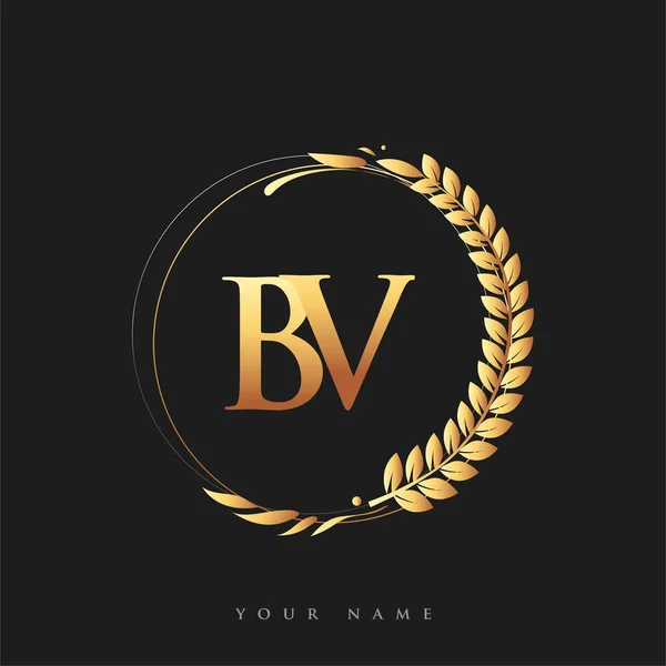 Logo Designs « BV design