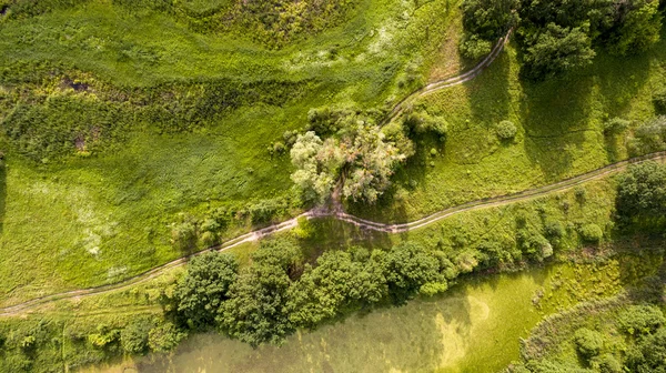 Vista aérea do campo com estradas e madeira . — Fotografia de Stock