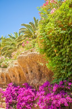 Dalga kemer, Park Guell, Barcelona. İspanya