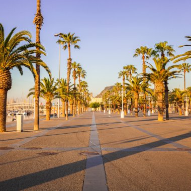 Bulvarı palmiye ağaçları Barcelona ile. İspanya