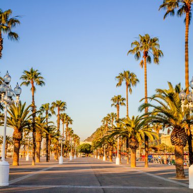 Bulvarı palmiye ağaçları Barcelona ile. İspanya