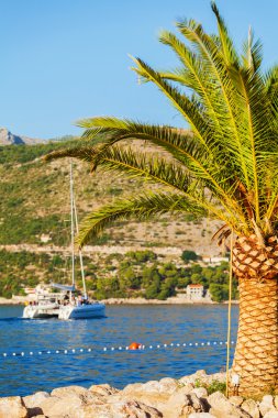 Kayalık kıyıya yakın deniz tekne. Dubrovnik, Hırvatistan