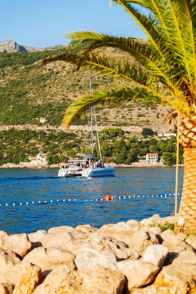 Boat in the sea near the rocky shore. Dubrovnik, Croatia