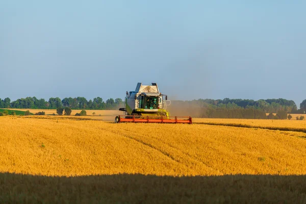 수확 필드와 mows 밀에서 일입니다. 우크라이나. — 스톡 사진