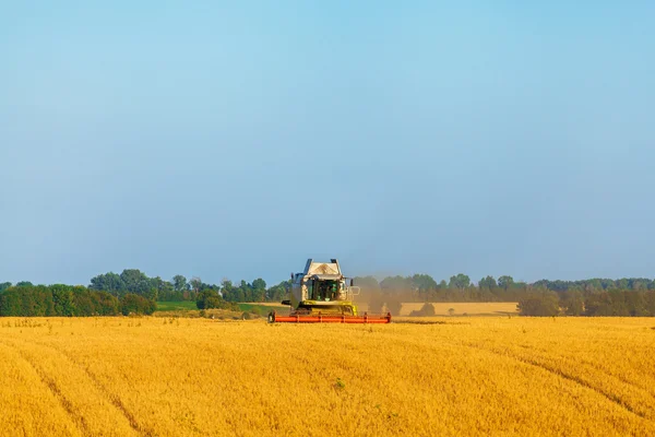 Harvester working in field and mows wheat. Ukraine. Royalty Free Stock Photos