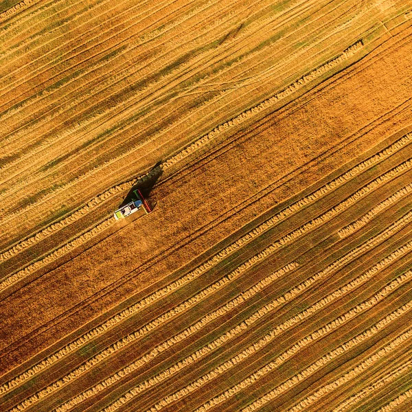 Cosechadora trabajando en el campo y siega trigo. Ucrania. Vista aérea . — Foto de Stock