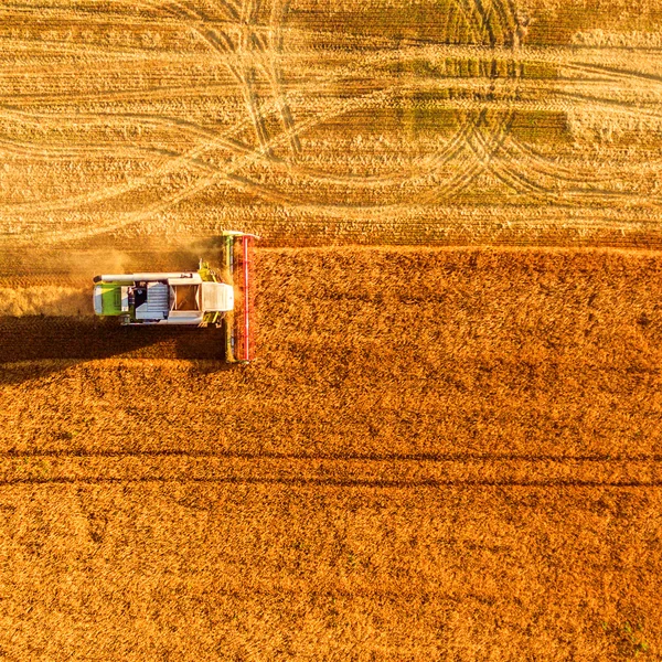 Çalışma alanı ve Mowser buğday hasat. Ukrayna. Havadan görünümü.
