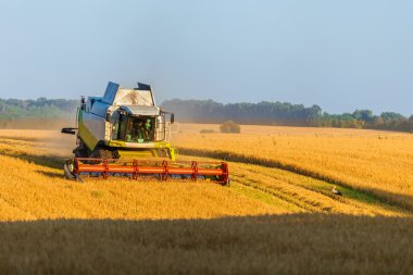 Çalışma alanı ve Mowser buğday hasat. Ukrayna.
