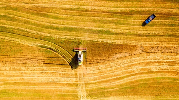 Raccoglitore che lavora in campo e falcia il grano. Ucraina. Vista aerea . — Foto Stock