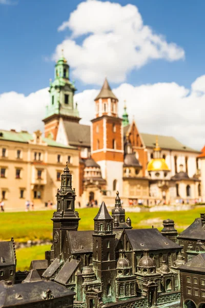 Nézd a Wawel kastély és katedrális, kert, Krakkó, Lengyelország — Stock Fotó