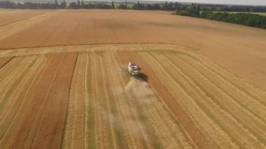 Çalışma alanı ve Mowser buğday hasat. Ukrayna. Video 4k.