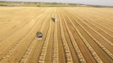 Çalışma alanı ve Mowser buğday hasat. Ukrayna. Video 4k.